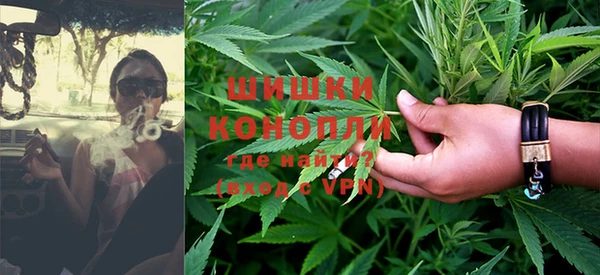 apvp Белокуриха