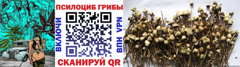 Галлюциногенные грибы мицелий  Купить  Павловский Посад 
